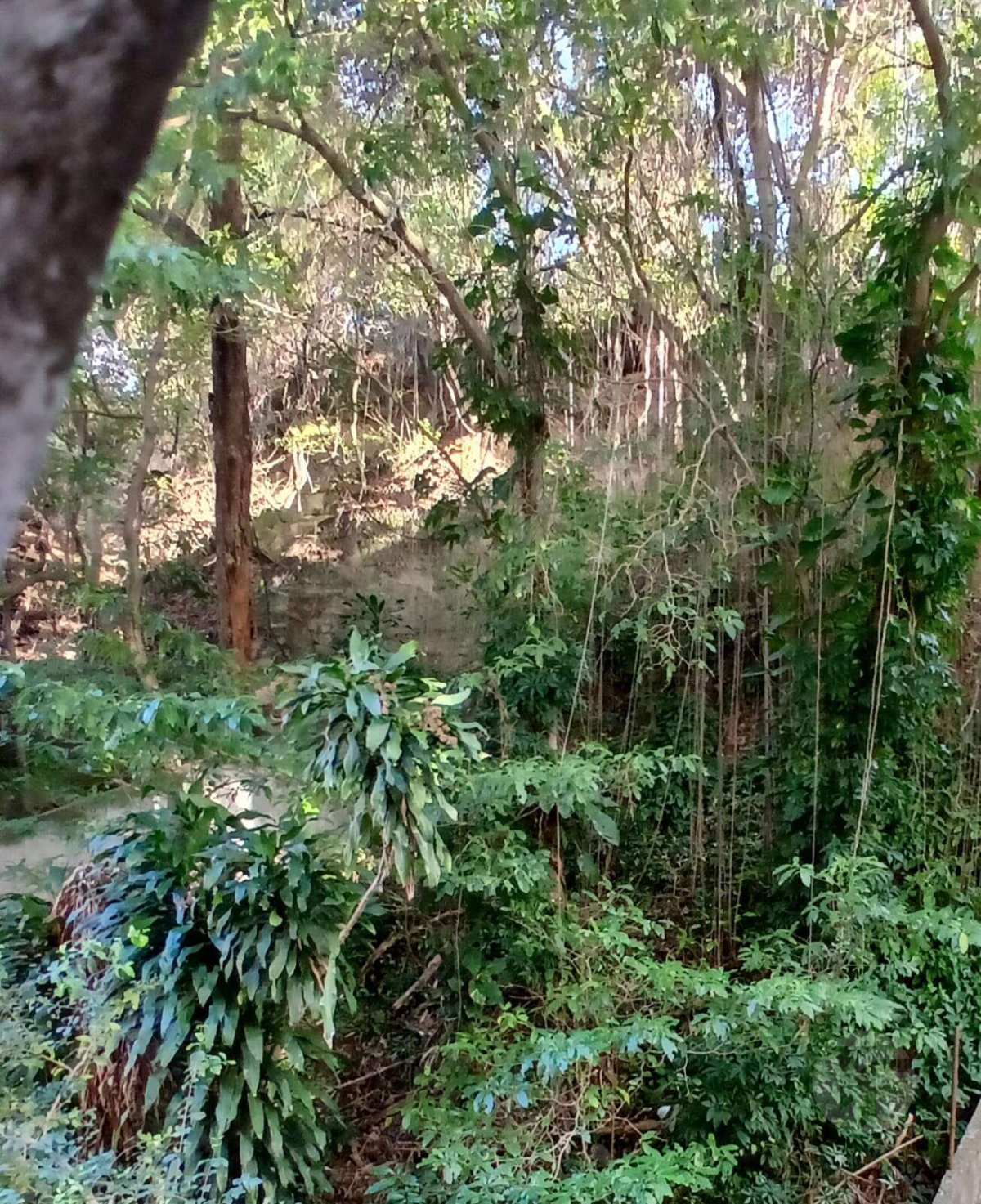 Apartamento à venda em Rio de Janeiro, Laranjeiras, com 3 quartos, 137m² - TF Consultoria & Gestão de Imóveis